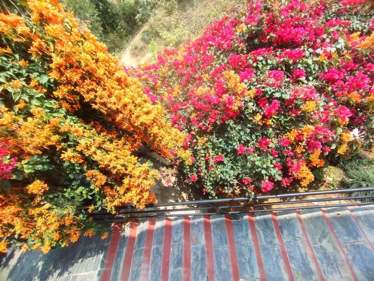 Homeland Forest Villa Pokhara Extérieur photo