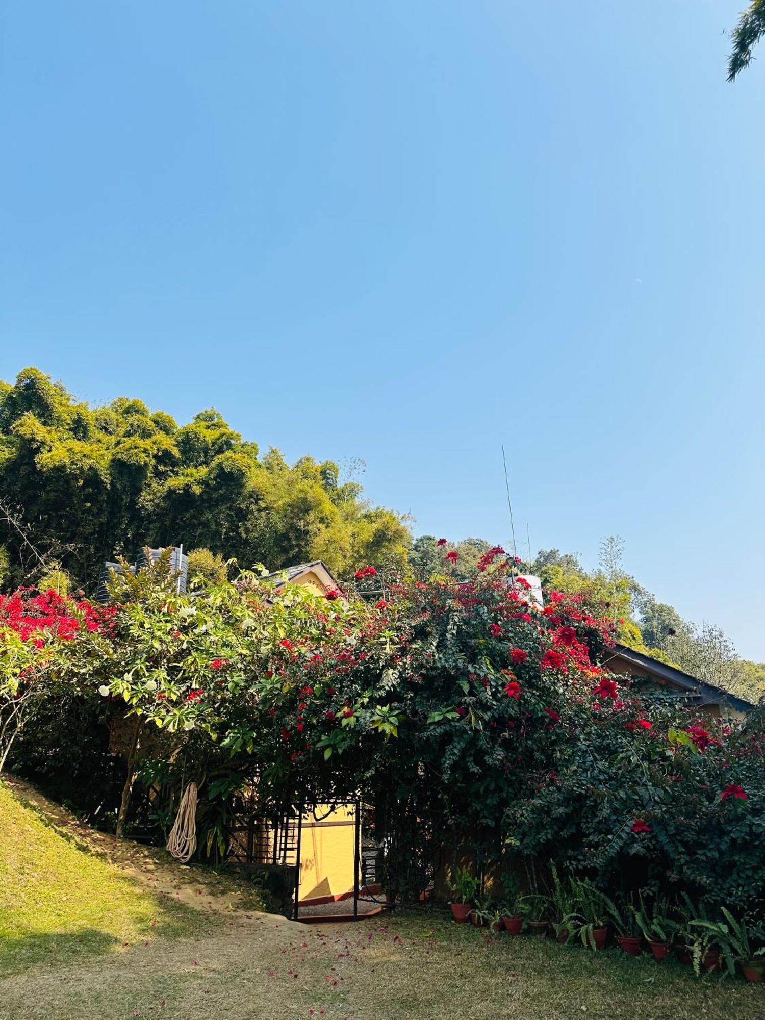 Homeland Forest Villa Pokhara Extérieur photo