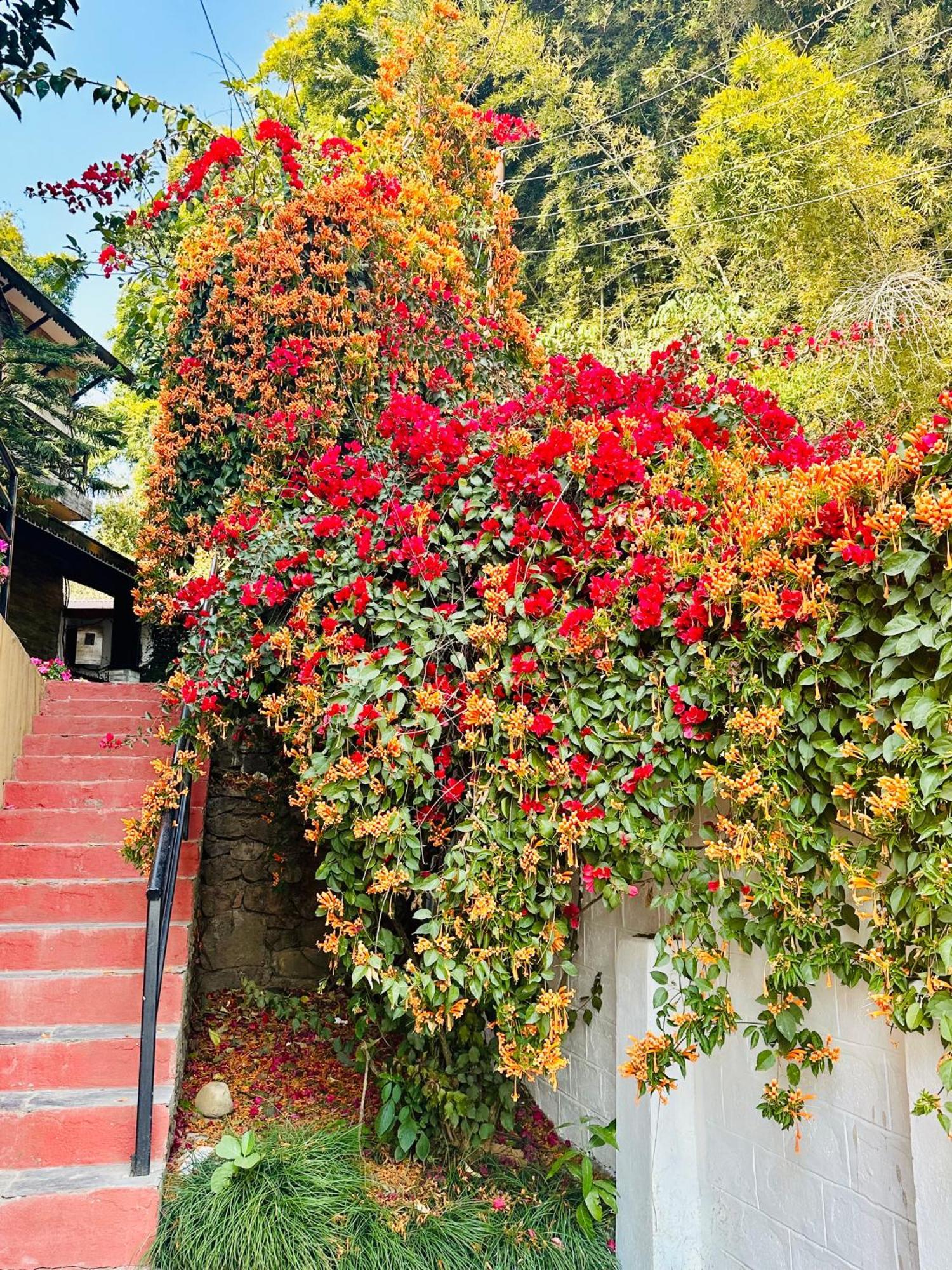 Homeland Forest Villa Pokhara Extérieur photo