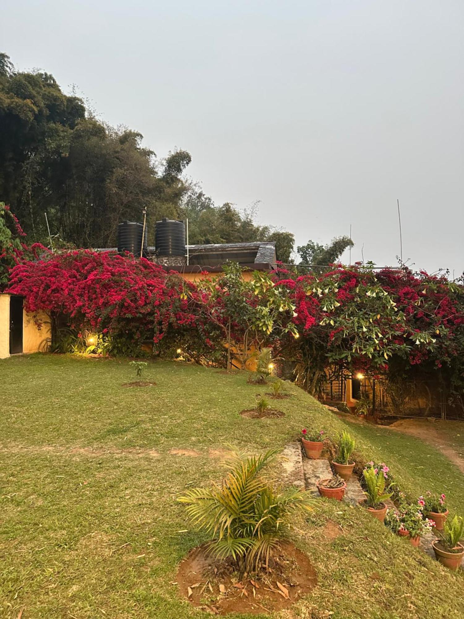 Homeland Forest Villa Pokhara Extérieur photo
